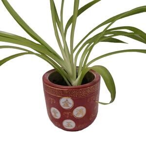 VNT Chinese Republic Ceramic Red Orange GOLD Flower Pot CHINA with SPIDER PLANT!